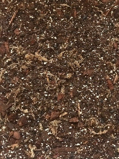 [TG2021] Aroid Soil Mix