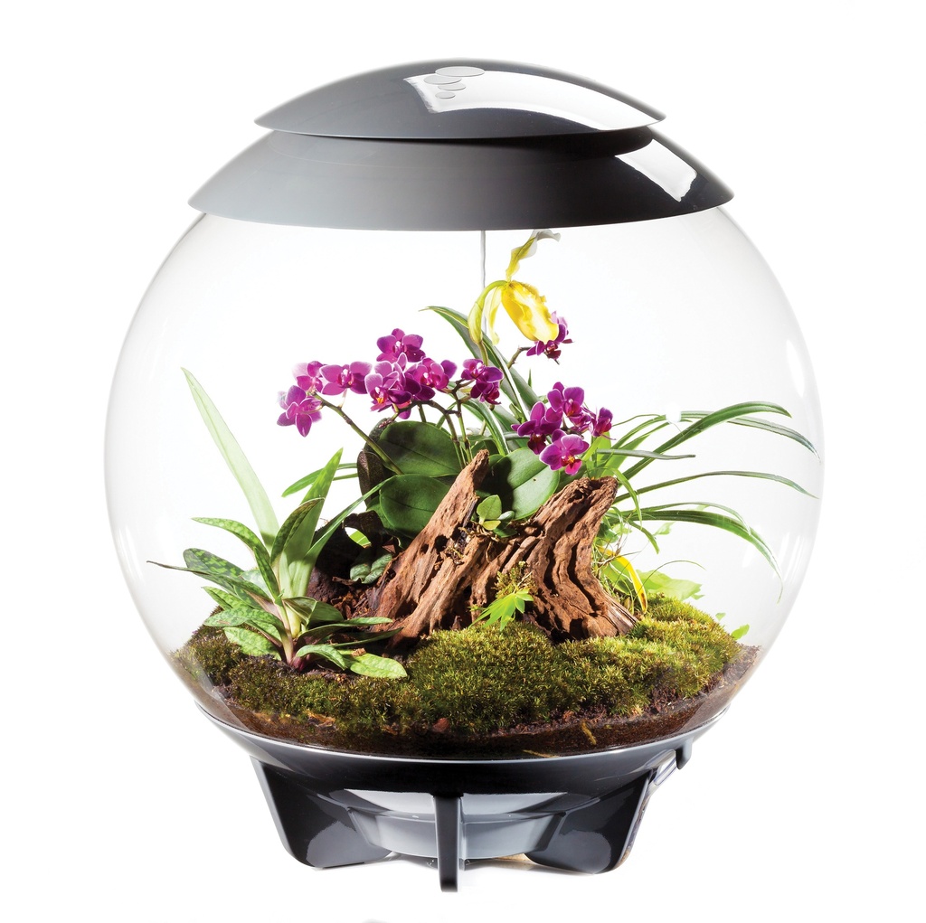 BIORB Air 60 بيورب إير 60 — Terra Garden Kuwait | تيرا غاردن الكويت