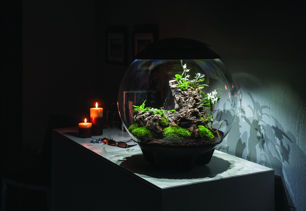 BIORB Air 60 بيورب إير 60 — Terra Garden Kuwait | تيرا غاردن الكويت