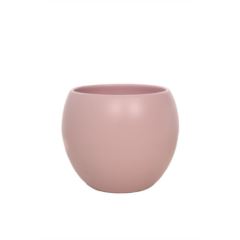 Mix Ceramic Pots مزيج أواني السيراميك — Terra Garden Kuwait | تيرا غاردن الكويت