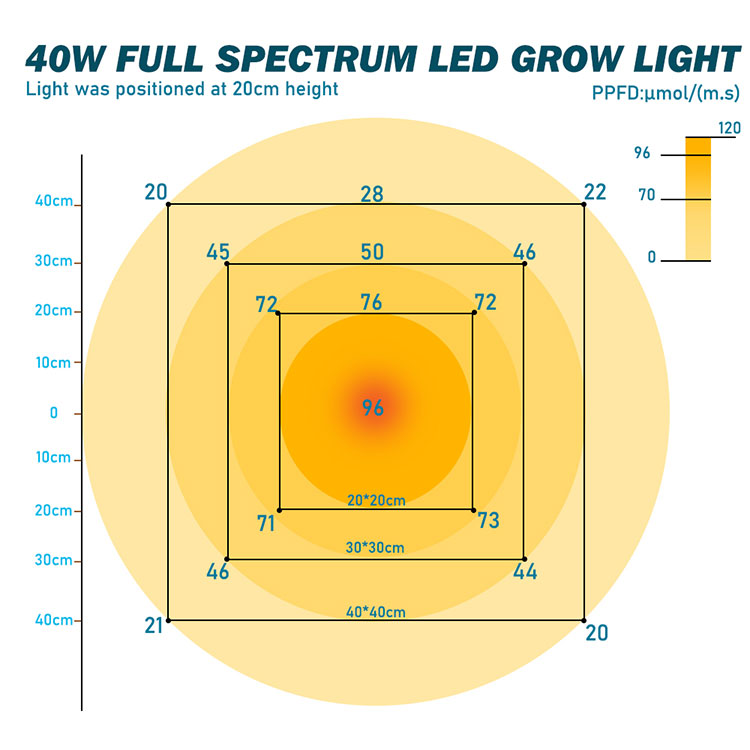 Grow Light Bulb - 40Watts