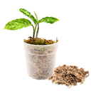 Dried Sphagnum طحلب سفاغنوم مجفف — Terra Garden Kuwait | تيرا غاردن الكويت