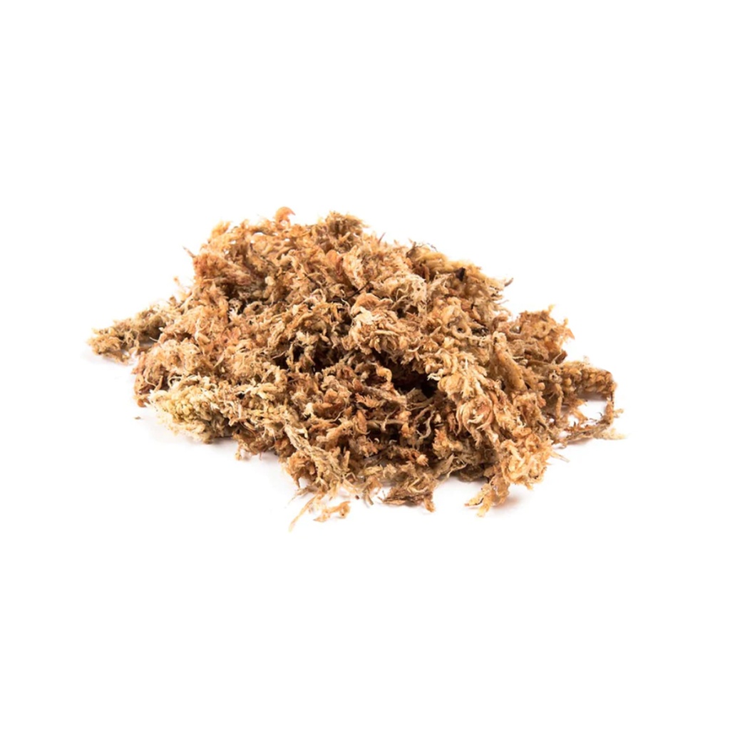 Dried Sphagnum