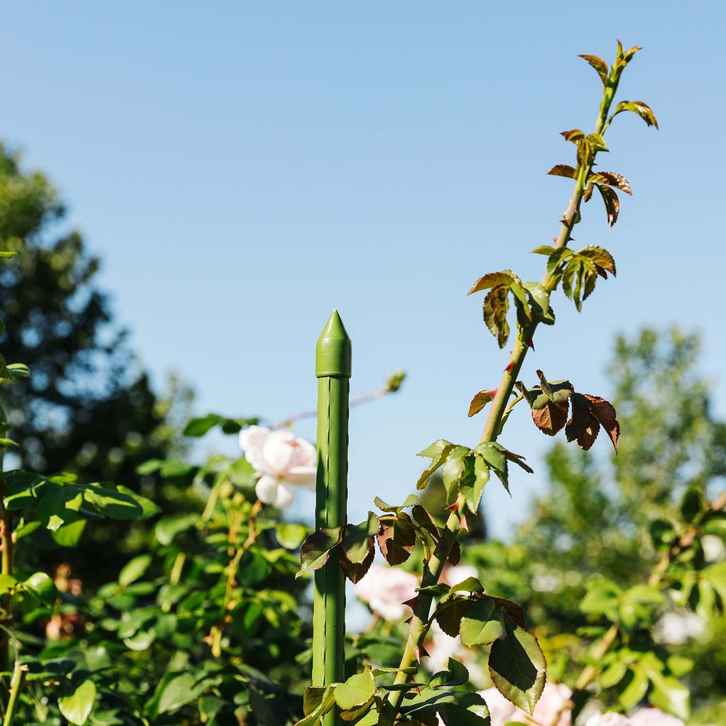 Plastic Plant Stick