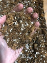 Aroid Soil Mix