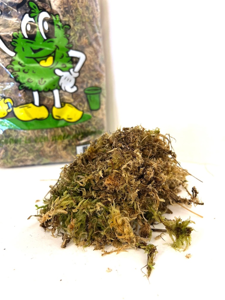 Sphagnum (Moist) - Packs طحلب سفاغنوم (رطب) - حزم — Terra Garden Kuwait | تيرا غاردن الكويت