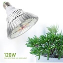 Grow Light - 120Watts ضوء نمو - 120 واط — Terra Garden Kuwait | تيرا غاردن الكويت