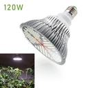 Grow Light - 120Watts