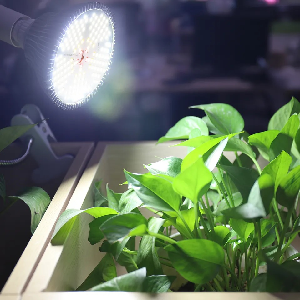 Grow Light - 120Watts ضوء نمو - 120 واط — Terra Garden Kuwait | تيرا غاردن الكويت