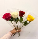 Single Rose - Solitaire Roses