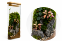Mystic Moss Terrarium تراريوم الطحالب الغامض