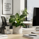 Potted Philodendron Birkin فيلوديندرون بيركن بوعاء