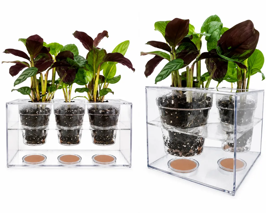BoskkePlanter1.webp