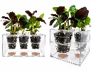 BoskkePlanter1.webp