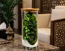 Mystic Moss Terrarium-3.webp