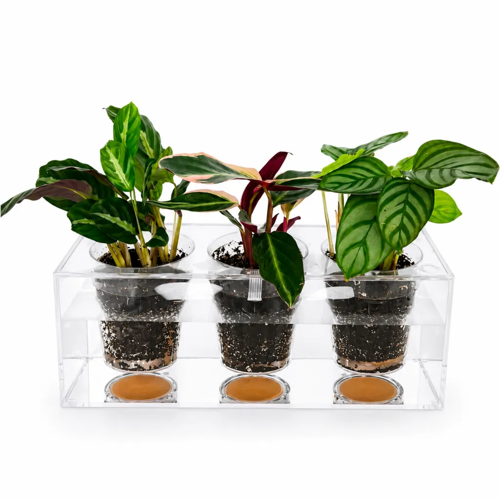 BoskkePlanter3.webp