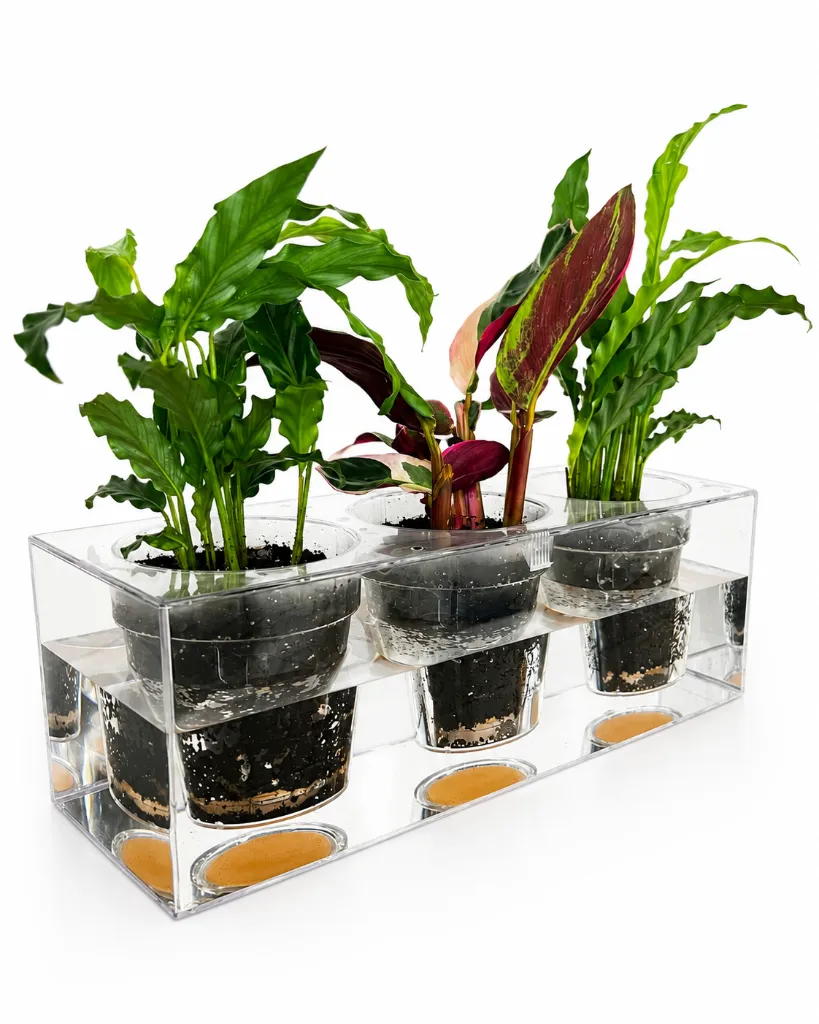 BoskkePlanter6.webp