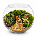 Enchanted Cottage Moss Terrarium تراريوم كوخ الطحالب الساحر