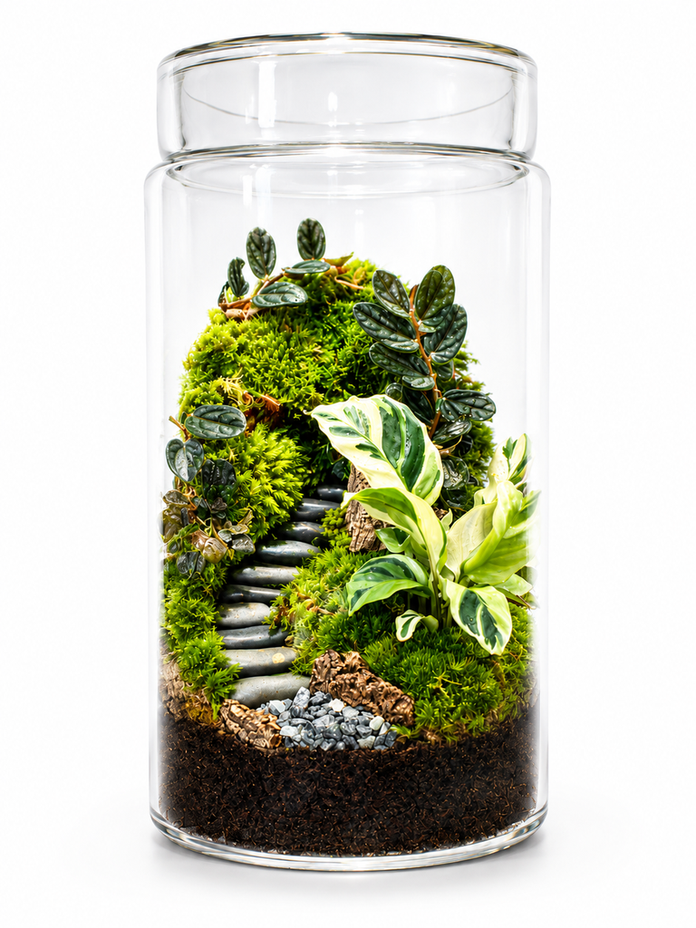 Forest Stairway Moss Terrarium تراريوم طحالب بدرج الغابة  