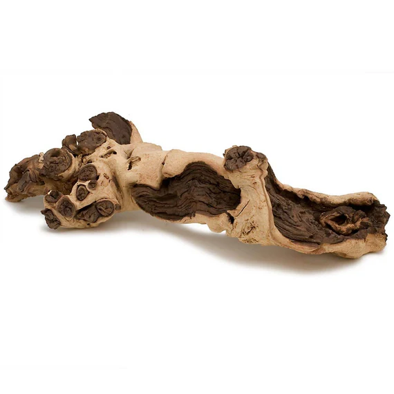 [302] Mopani Wood – Small خشب موباني – صغير