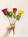Solitaire Roses (Single Rose Stem)