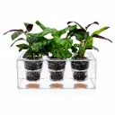 Boskke Self-Watering Calathea Trio طقم بوسكي كالاثيا ذاتي الري – 3 نباتات