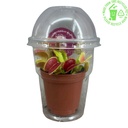  Insect Eater Plant (Dionaea Muscipula)