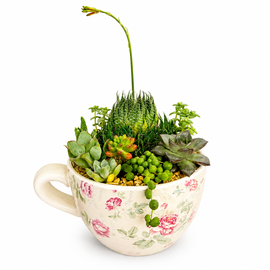 تنسيق عصاريات بكوب مزخرف