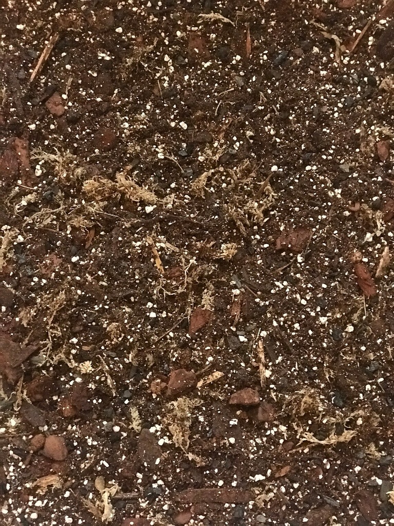 Aroid Soil Mix