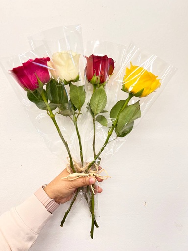 [00219093] Solitaire Roses (Single Rose Stem)