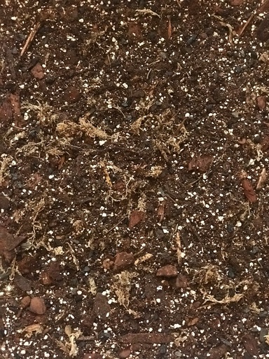 [TG2021] Aroid Soil Mix تربة مخلوطة للنباتات الأرويدية