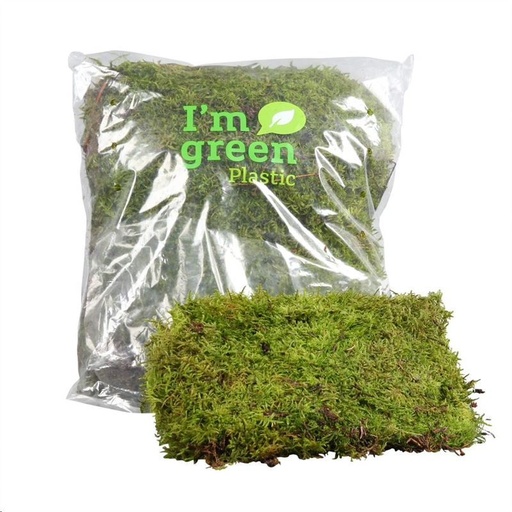 [BM-004] Packed Plat Moss